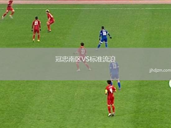 冠忠南区VS标准流浪