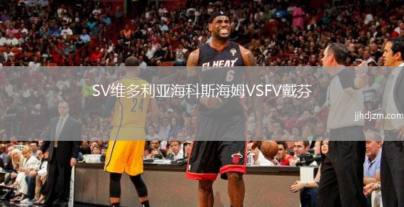 SV维多利亚海科斯海姆VSFV戴芬