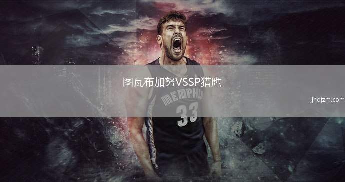 图瓦布加努VSSP猎鹰