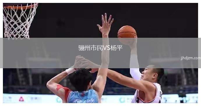 骊州市民VS杨平