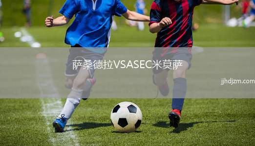 萨桑德拉VSASEC米莫萨