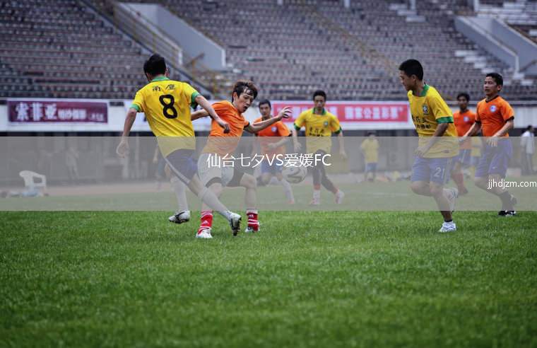 仙台七夕VS爱媛FC