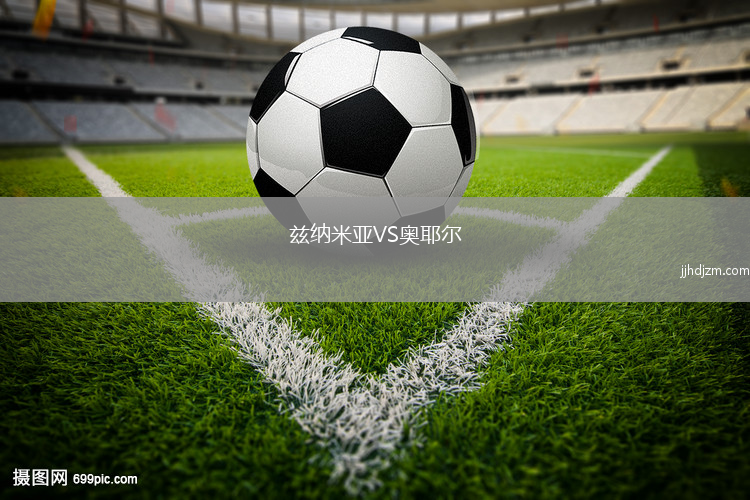 兹纳米亚VS奥耶尔